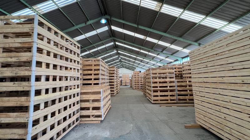 To Let commercial Property for Rent in Epping Industrial Western Cape